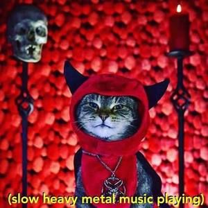 Meet your Posher, Lidia